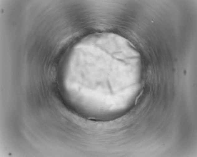 X0000088650043200706152018