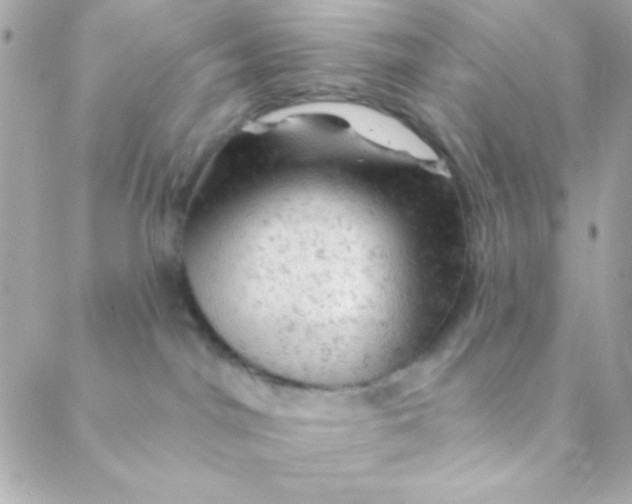 X0000088650044200706152018