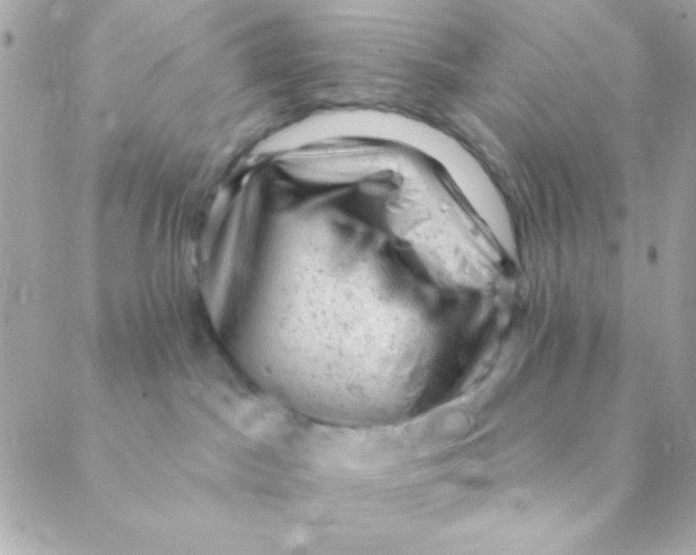 X0000088650045200706152018