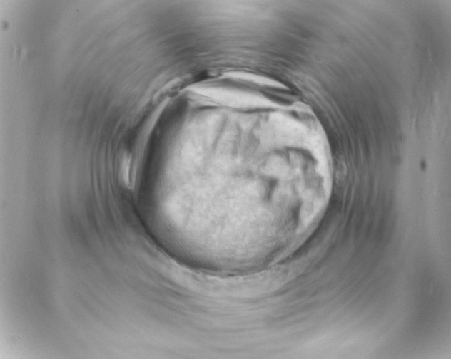 X0000088650046200706152018