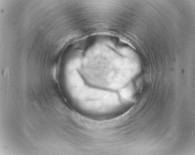 X0000088650047200706152018