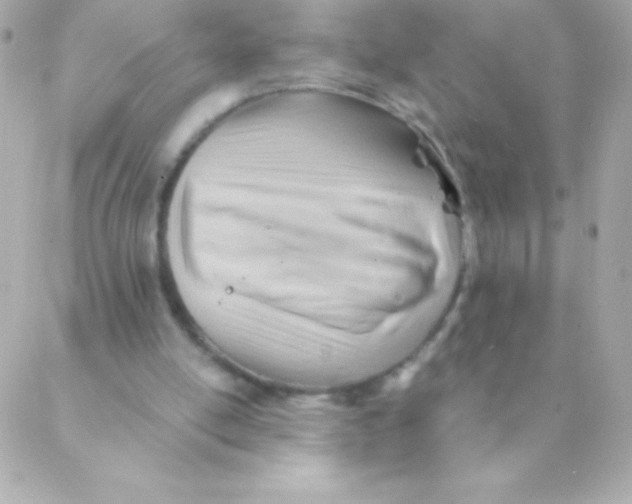 X0000088650054200706152018