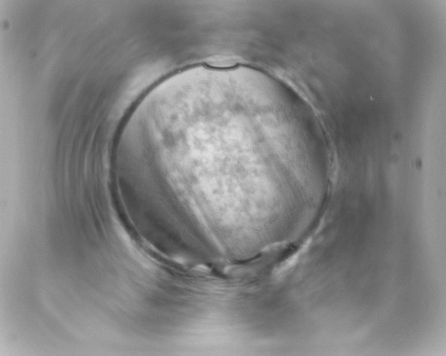 X0000088650055200706152018