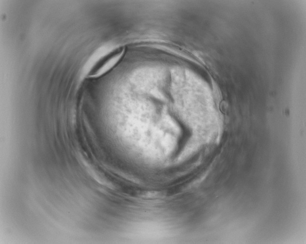 X0000088650056200706152018