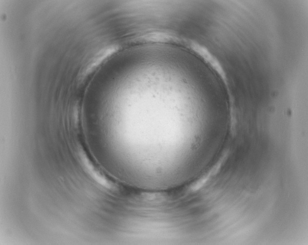 X0000088650057200706152018