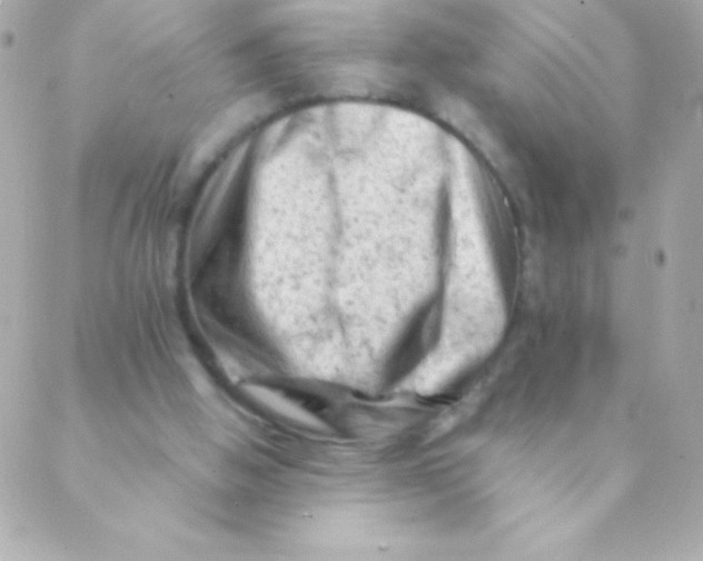 X0000088650058200706152018