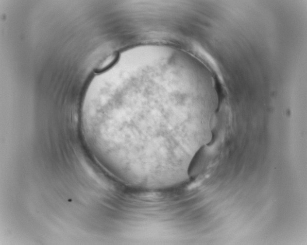 X0000088650059200706152018