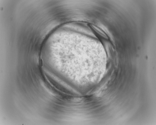 X0000088650060200706152018