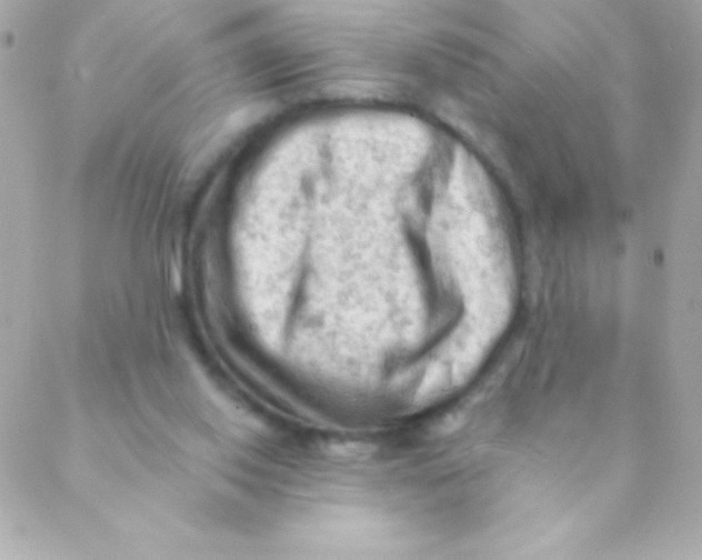 X0000088650062200706152018