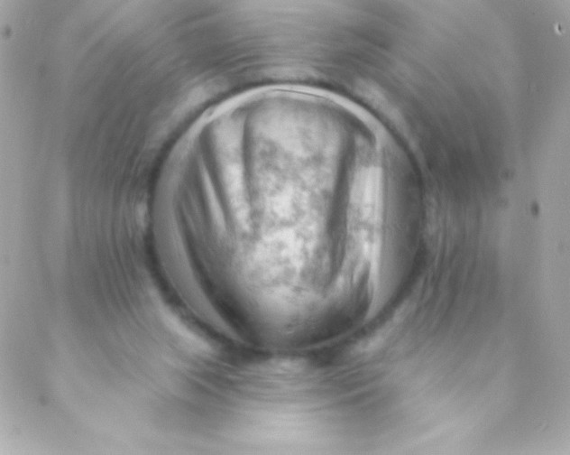 X0000088650063200706152018