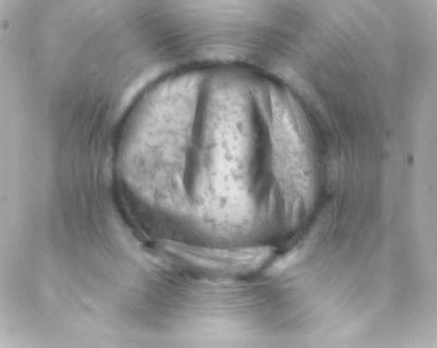 X0000088650064200706152018