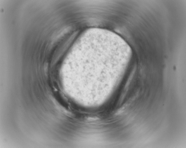 X0000088650066200706152018