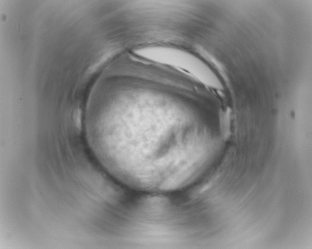 X0000088650067200706152018