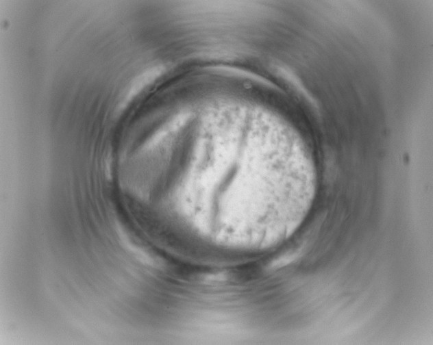 X0000088650068200706152018