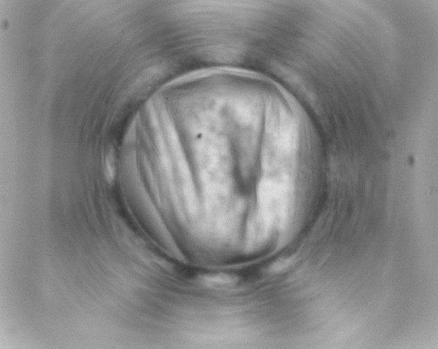 X0000088650069200706152018