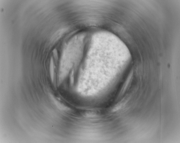 X0000088650070200706152018