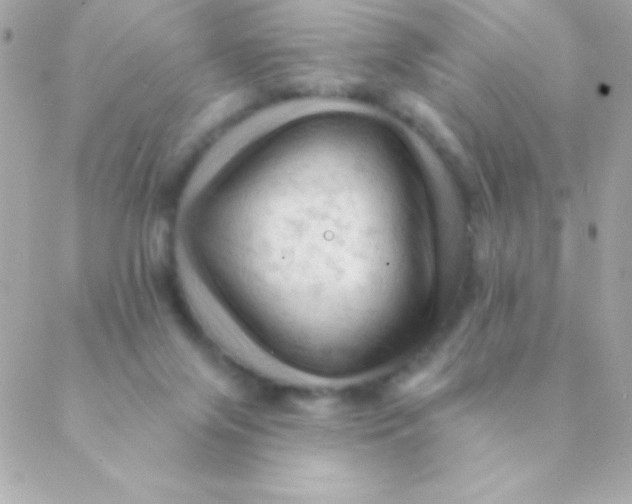 X0000088650071200706152018