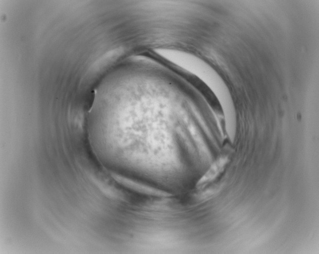 X0000088650072200706152018