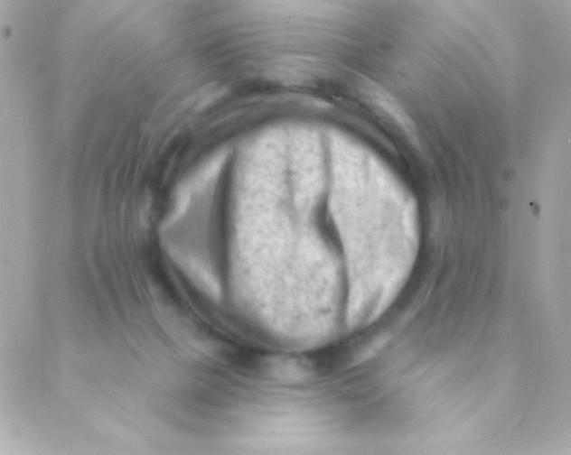 X0000088650073200706152018