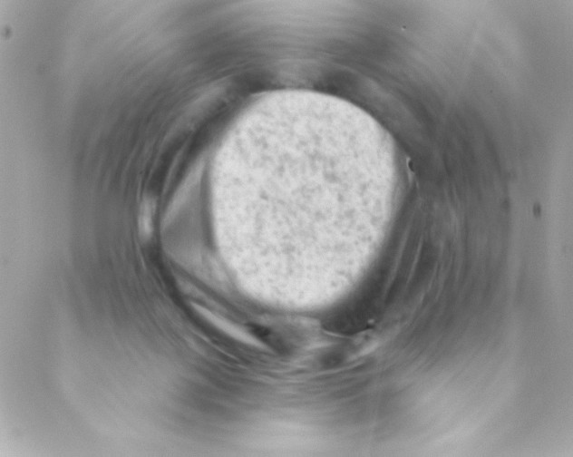 X0000088650075200706152018