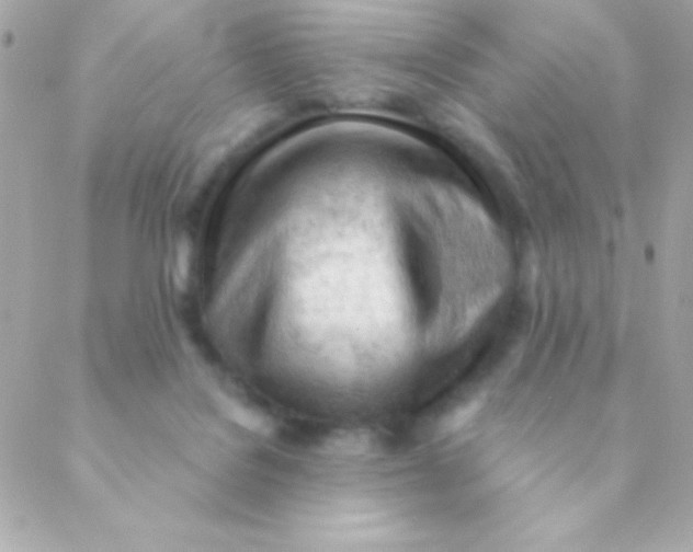 X0000088650076200706152018