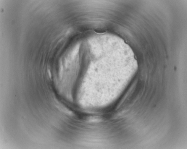 X0000088650077200706152018