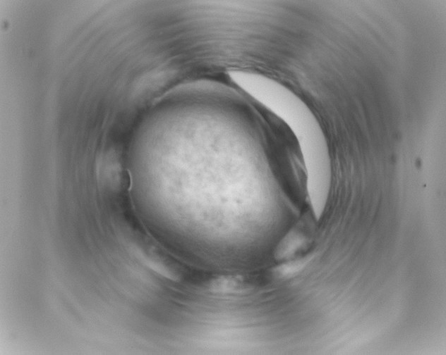 X0000088650080200706152018