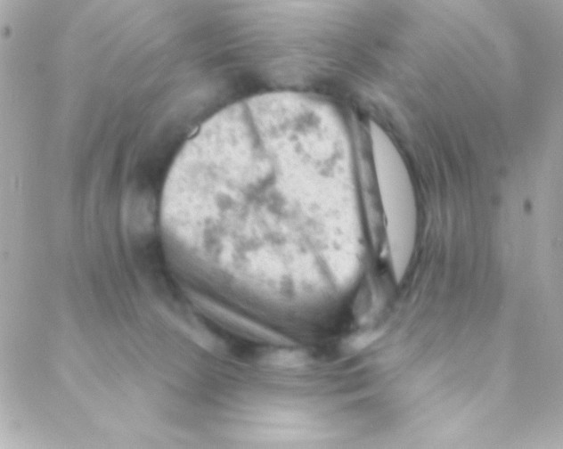 X0000088650081200706152018