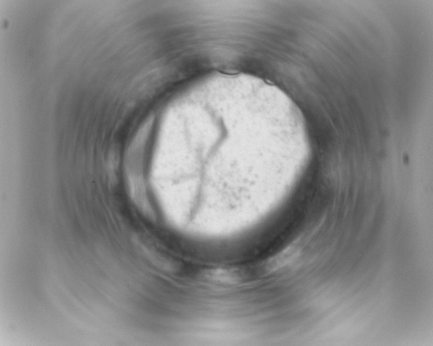 X0000088650082200706152018