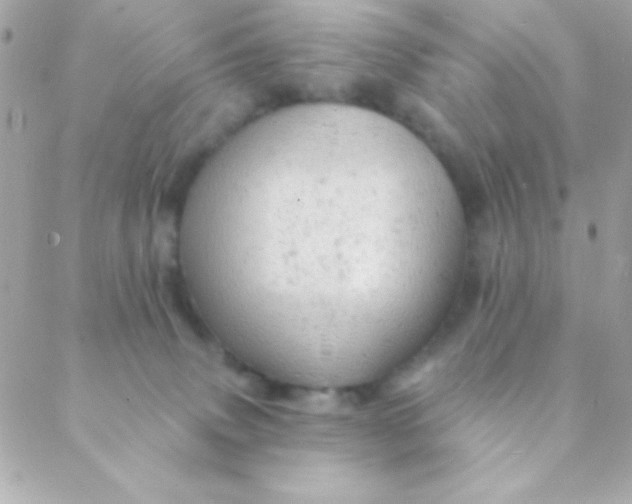 X0000088650083200706152018