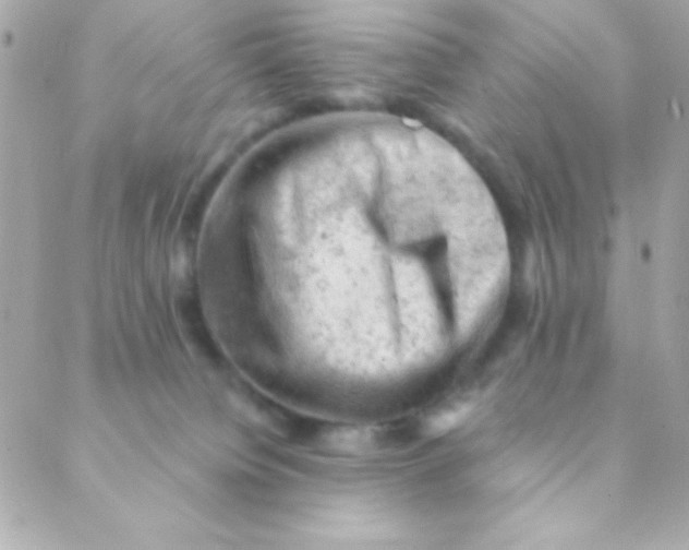 X0000088650084200706152018