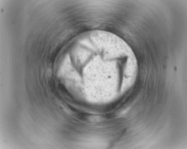 X0000088650085200706152018