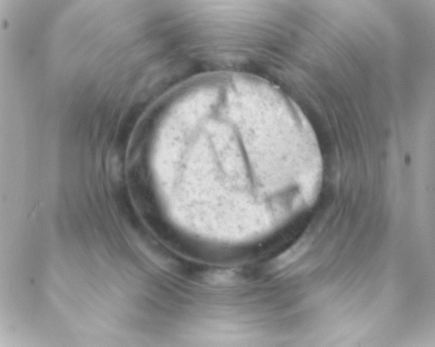 X0000088650086200706152018