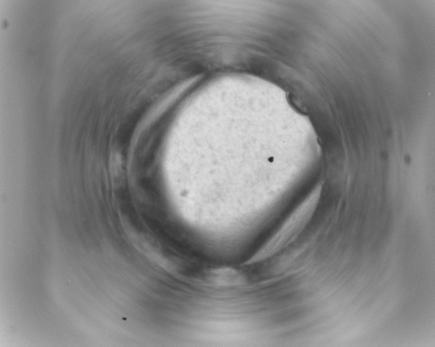 X0000088650087200706152018