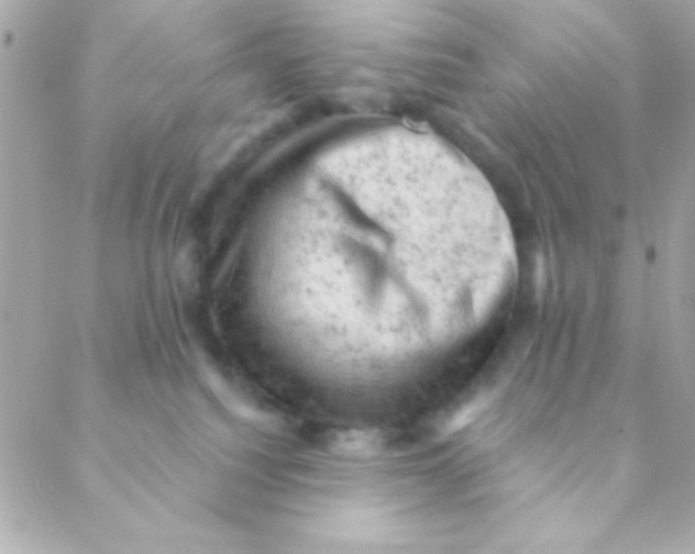 X0000088650088200706152018