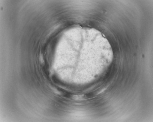 X0000088650089200706152018