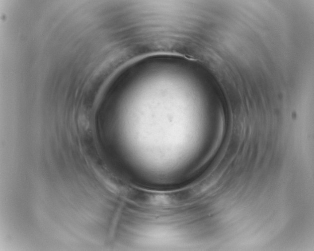 X0000088650091200706152018