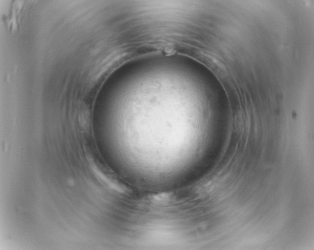 X0000088650092200706152018