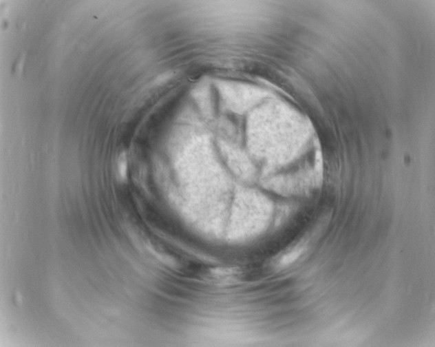 X0000088650095200706152018