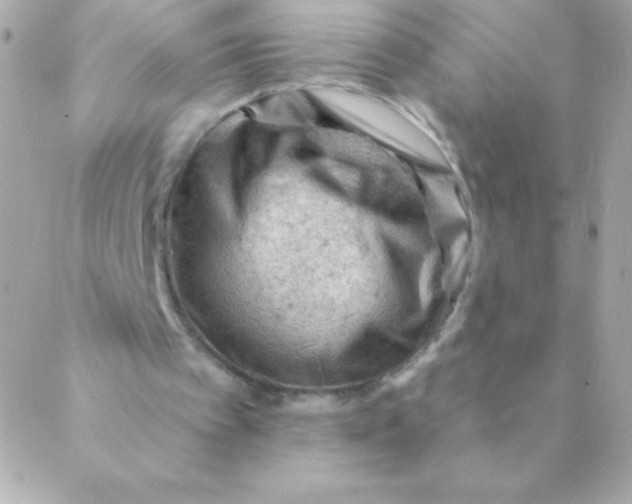 X0000088650097200706152017