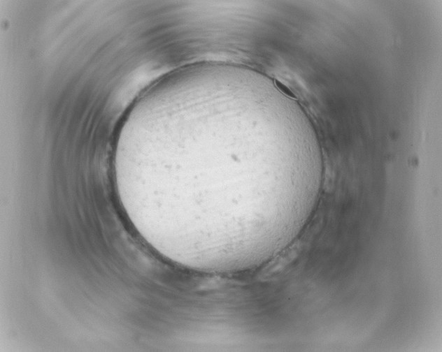 X0000088650098200706152017