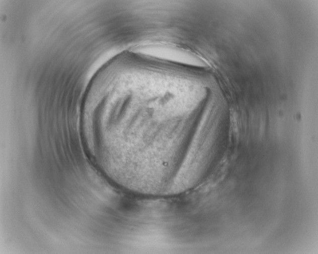 X0000088650100200706152017