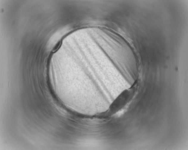 X0000088650103200706152017