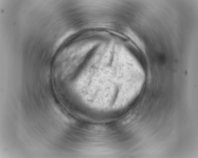 X0000088650107200706152017