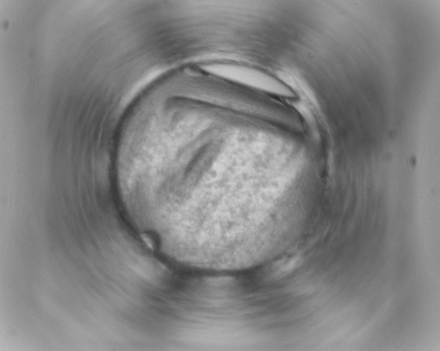 X0000088650108200706152017