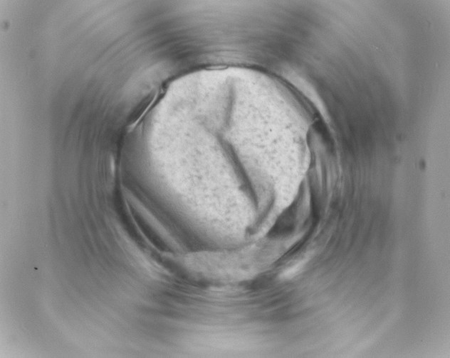 X0000088650109200706152017