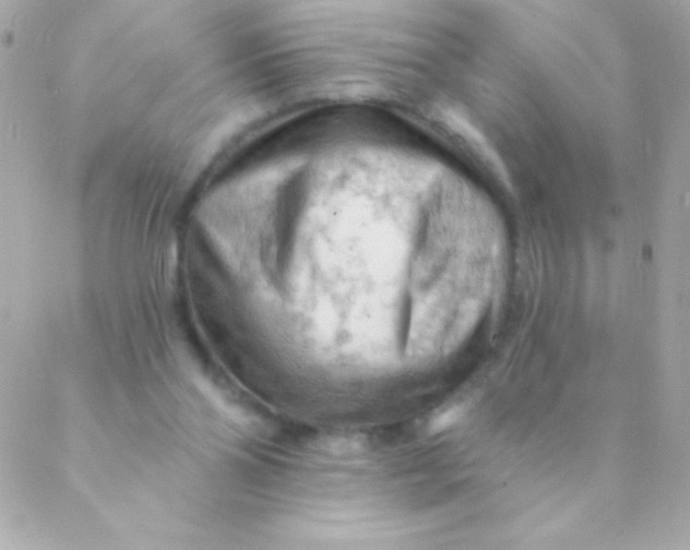 X0000088650110200706152017