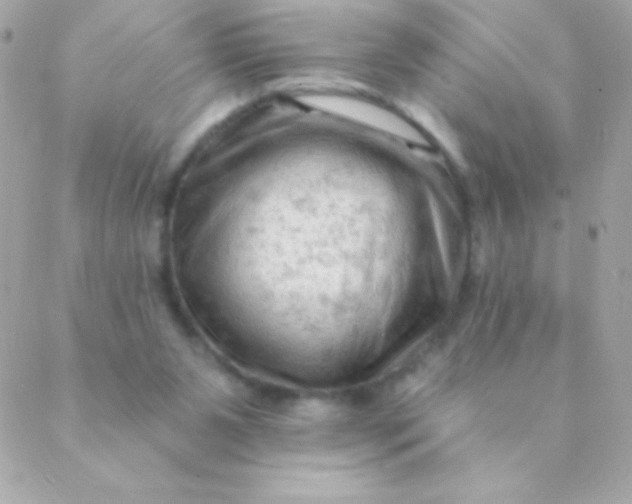 X0000088650111200706152017