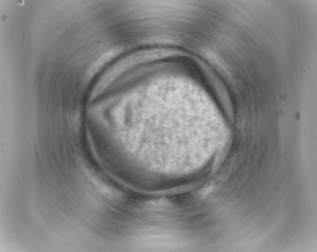 X0000088650112200706152017