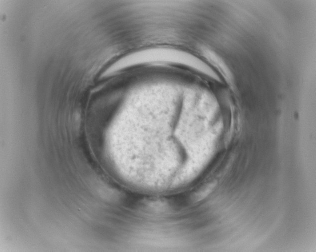 X0000088650113200706152017